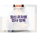 임신 주차별 검사 항목｜해남산부인과