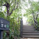 챌린지태권도장 이미지