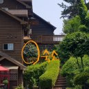 숲속의바다 숲속동 이미지