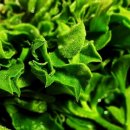 엄마 농장 이미지