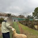 마한농장 이미지