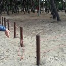 송림연합의원 이미지