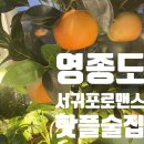 영종도 조용한 곳 아님? 아님 핫플 생김 [서귀포 로맨스 영종점]