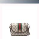 행복미니 | 206만원의 행복? 구찌 오피디아 미니 백 솔직 후기! 안 사면 후회할까?