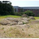 스트로마톨라이트 이미지