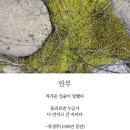 글쓰다
