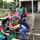 성거읍 행정복지센터 이미지