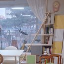 타워 | 일룸 캐스터네츠 책장 캣타워 후기(내돈내산): 찰리의 캣타워 적응기