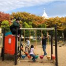 고려인태권도장 이미지