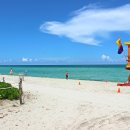 기후미식의 세계 이미지