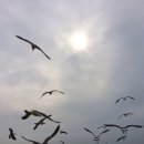 노을따라펜션