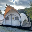 새연 | 서울 근교·가평 글램핑 ❛새연 카라반 글램핑 설악2호점❜ 후기(객실, 매점, 캠프파이어)