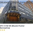 블루닷 포쉬텔 이미지