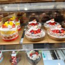 하레하레 이미지