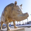 황금돼지 이미지