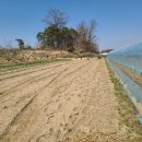 여주-1065 이미지