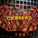 옐로우 - 여수시 흥국상가길 27 | 안성 한우 맛집 옐로우카고 후기
