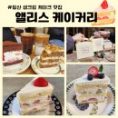 몽몽하나 | [일산 디저트 맛집] 생크림이 정말 맛있는 쌀케이크 맛집- 앨리스 케이커리
