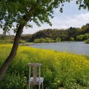 버드나무집 이미지