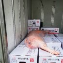 엉덩이노래연습장 이미지