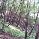 갑천농장 이미지