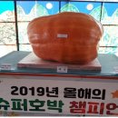 호박 이미지