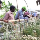 인경농장 이미지