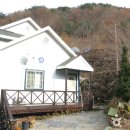 참샘