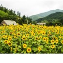 태백농장 이미지