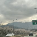 구례의길(섬진강길) | 구례 여행 1일차 기록하기(feat. 산수유마을, 섬진강대나무숲길, 화엄사)
