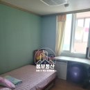 신선동-15 이미지