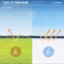 다비치안경수원역홍익프라자옆점