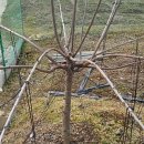 윤지농장 이미지