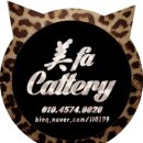 미파캐터리 이미지