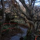 사라의 정원 이미지