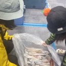 김선장펜션민박 이미지