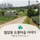 한익모선생 묘 | 월암동 도룡마을 이야기