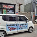 아지양이 펫샵 이미지