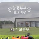 알콩제주 이미지