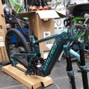 산타 크루즈 이미지