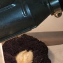 풍세메추리농장 이미지