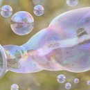 선주초등 병설 이미지