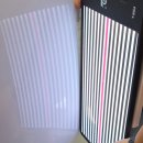 교    리 | 남양주 썬팅 싼타페 버텍스 1100 900 및 네오가드 PPF 후기