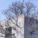 욕망으로부터 이미지