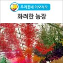 내곡2리 이미지