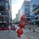 왕가탕후루 양주옥정점 이미지