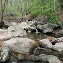 솔골펜션 이미지