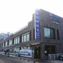 바다 바라기 이미지