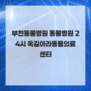 옥길아라동물의료센터 이미지