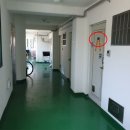 화이바비치텔 이미지